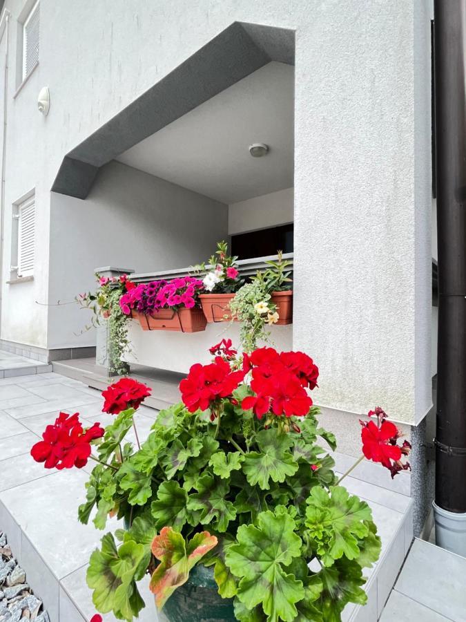 Alena Apartment