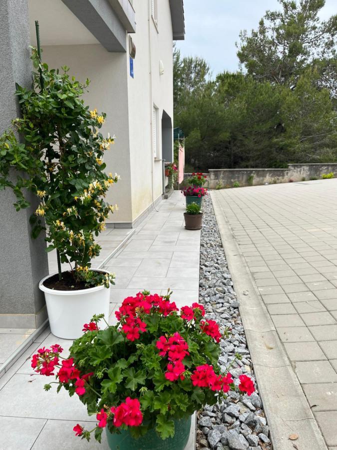 Apartmán Alena